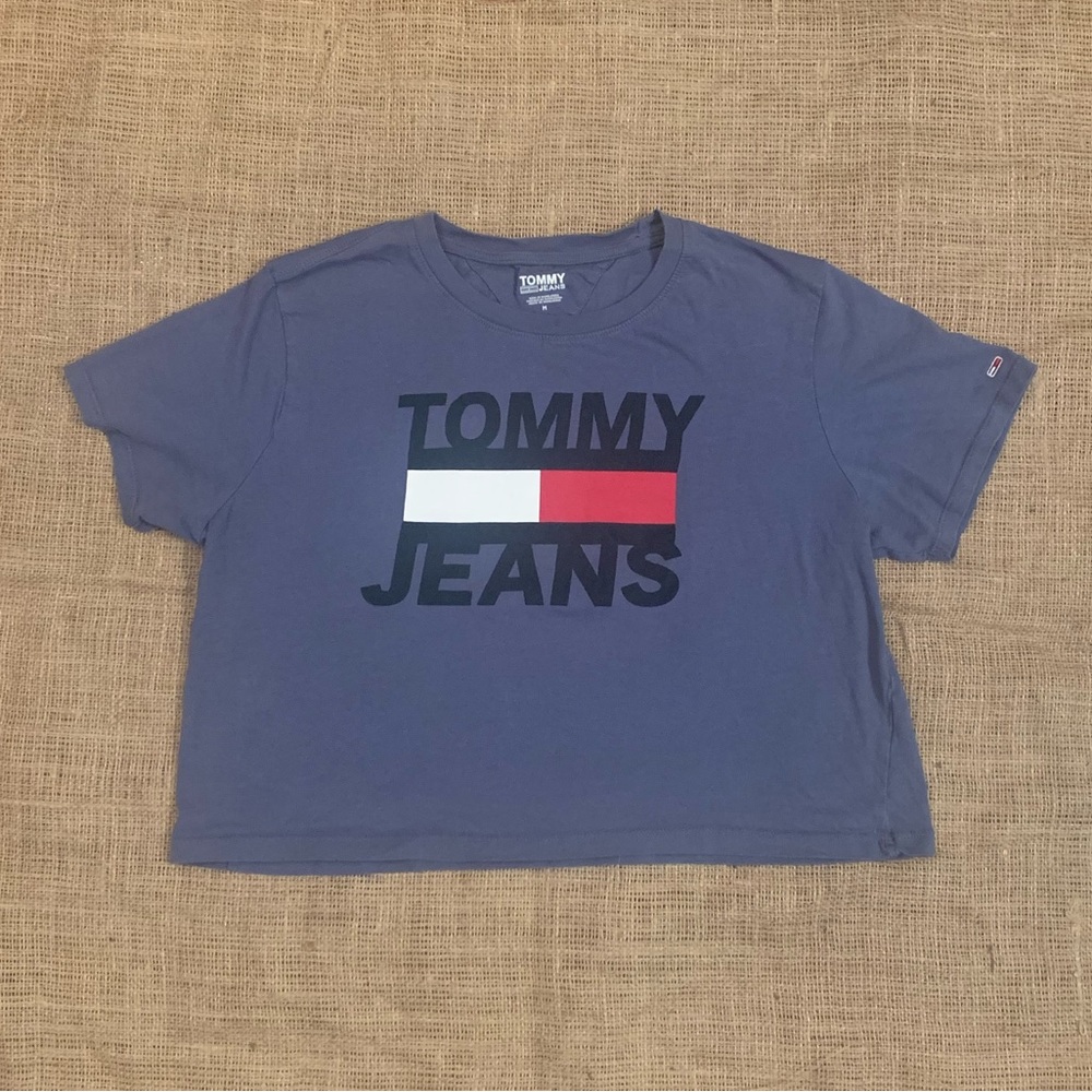 Tommy Hilfiger EUC TOMMY JEANS Blue Crop Top, Medium